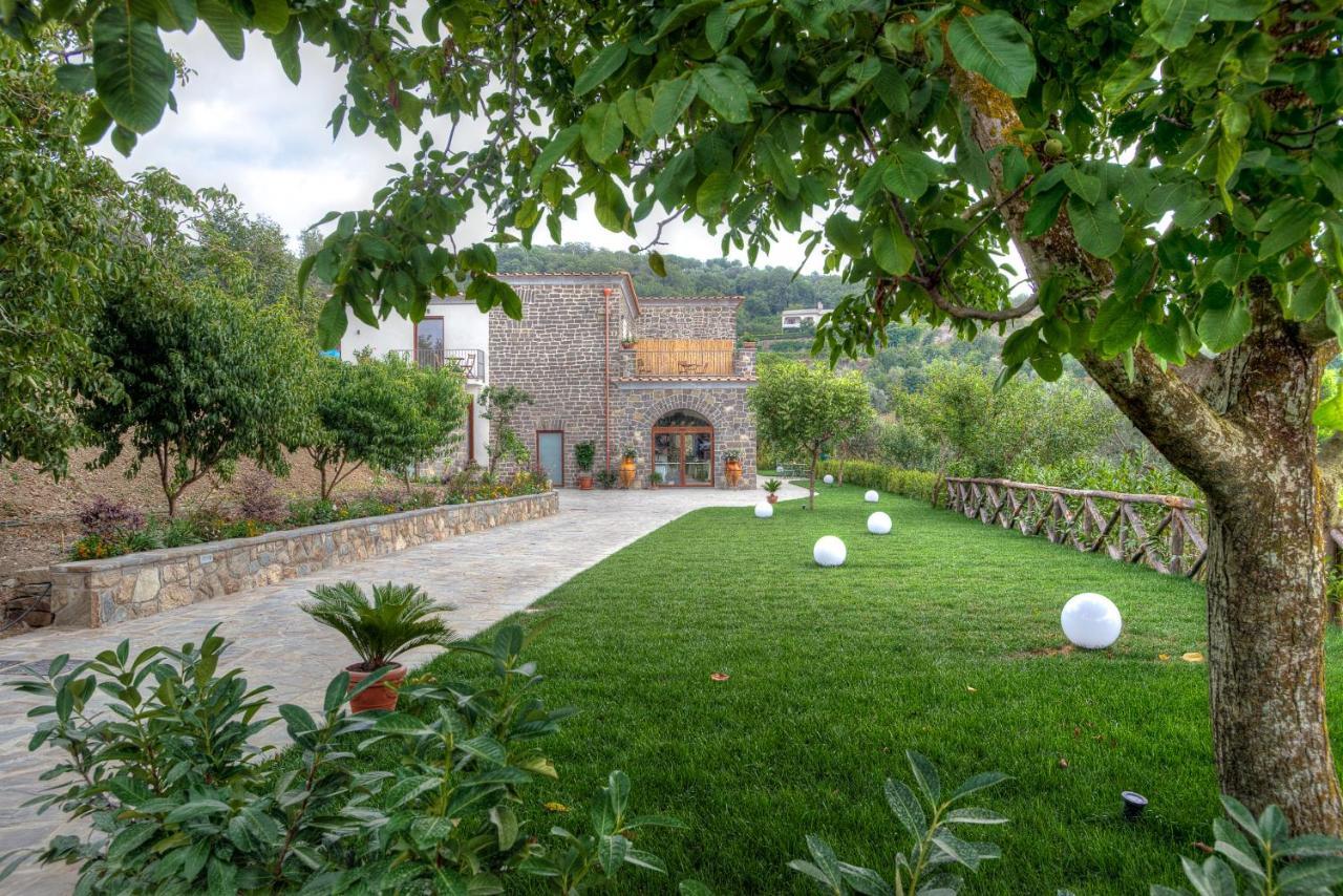 Agriturismo La Peppina Massa Lubrense Eksteriør billede